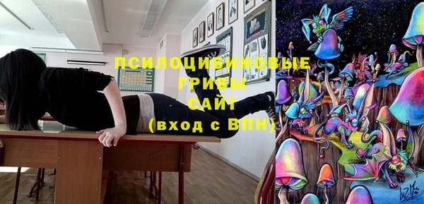 ешки Бронницы