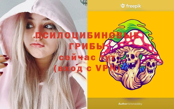 ешки Бронницы