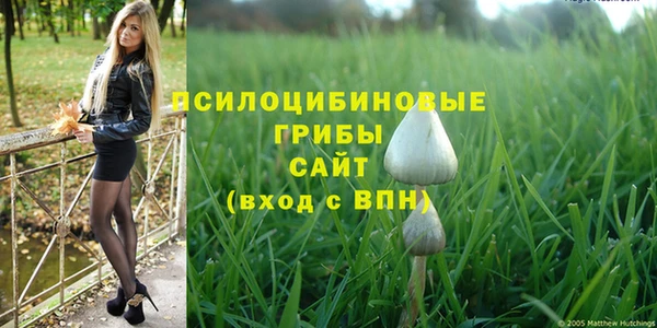 ешки Бронницы