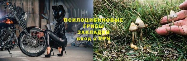 ешки Бронницы